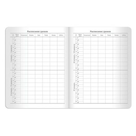 Дневник 1-11 класс 48 л., кожзам (гибкая), термотиснение, BRAUBERG "LATTE", черный, 105444