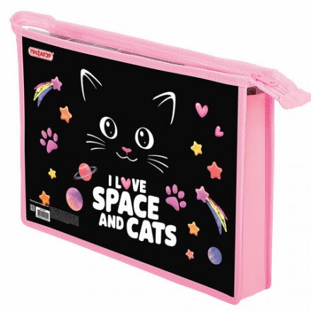 Папка для тетрадей ПИФАГОР А4, 1 отделение, картон/пластик, на молнии, "Dark kitten", 273339 Папка для тетрадей ПИФАГОР А4, 1 отделение, картон/пластик, на молнии, "Dark kitten", 273339