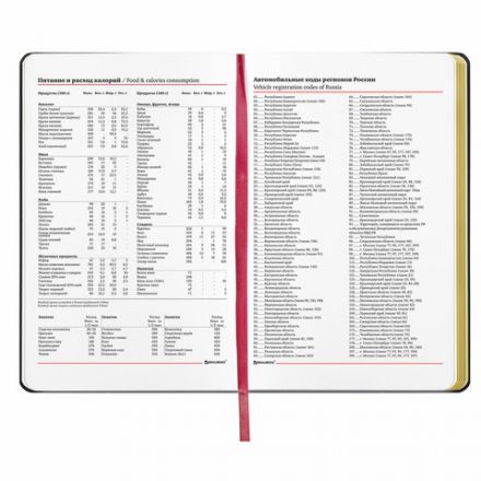 Ежедневник недатированный А5 (138х213 мм), BRAUBERG VISTA, под кожу, гибкий, 136 л., "Pomegranate", 112022