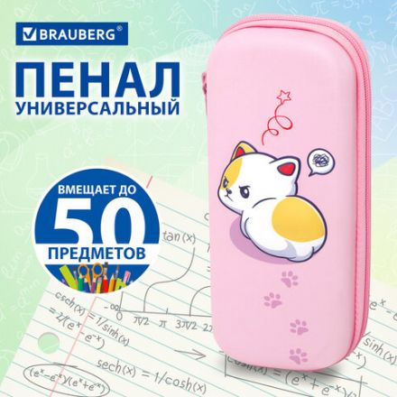 Пенал BRAUBERG, 1 отделение, 1 откидная планка, EVA, 22х10х5 см, "Disturbed", 273513