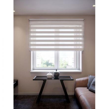 Рулонная штора ARX_день/ночь Бейс Белый 060x160 Мини