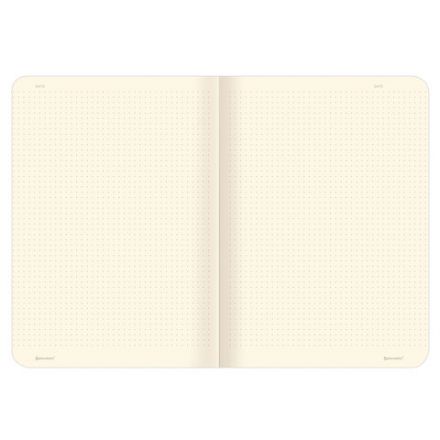 Тетради 60 л. в точку обложка SoftTouch, НАБОР 2 шт., бежевая бумага 70 г/м2, сшивка, B5 (179х250 мм), NIGHT/DAY, BRAUBERG, 403830