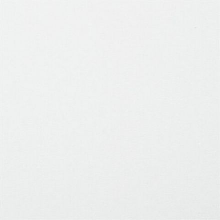 Картон белый А4 МЕЛОВАННЫЙ (белый оборот), 20 листов, в папке, BRAUBERG KIDS, 203х283 мм, 115160