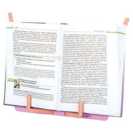 Подставка для книг и учебников BRAUBERG KIDS "Flamingo", регулируемый наклон, ABS-пластик, 238061 Подставка для книг и учебников BRAUBERG KIDS "Flamingo", регулируемый наклон, ABS-пластик, 238061