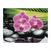 Алмазная мозаика ТРИ СОВЫ "Орхидеи на камнях", 30*40см, холст, картонная коробка с пластиковой ручкой Алмазная мозаика ТРИ СОВЫ "Орхидеи на камнях", 30*40см, холст, картонная коробка с пластиковой ручкой