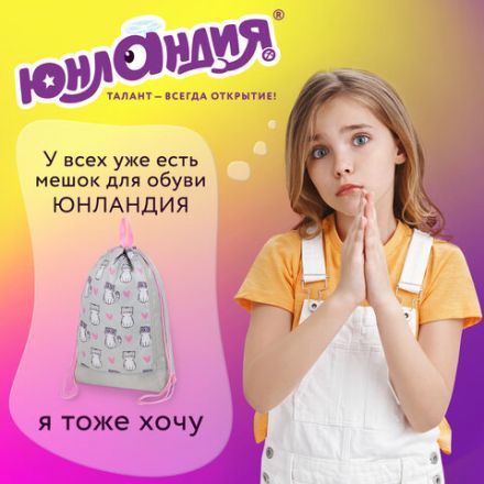 Мешок для обуви ЮНЛАНДИЯ с ручками, боковой карман на молнии, 46х36 см, "Kitties", 272407