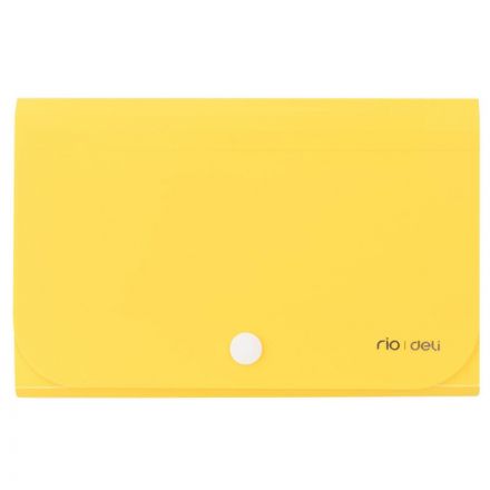 Папка органайзер Vivid на кнопке горизонтА6 12отдел РР 0,6мм  ассортимE5561