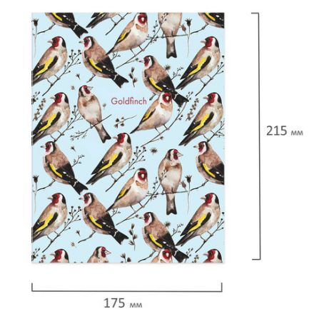 Тетрадь на кольцах А5 (175х215 мм), 120 листов, твердый картон, клетка, BRAUBERG, Щеглы, 404079