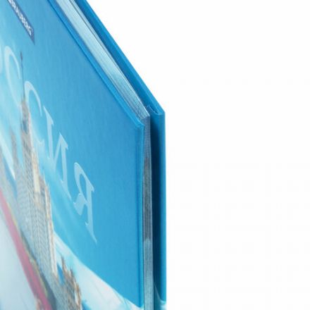 Дневник 1-11 класс 40 л., твердый, BRAUBERG, ламинация, цветная печать, "РОССИЙСКОГО ШКОЛЬНИКА-9", 106861