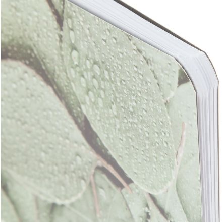 Блокнот BS, 13х21см, 48л, скрепка Botanica эвкалипт Д/зап. ин. слов N4126