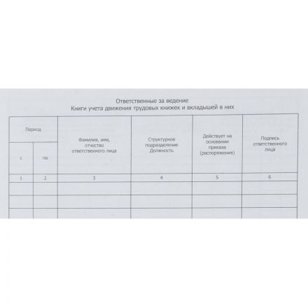 Книга учета движения трудовых книжек и вкладышей А4 32л карт.в облож, офсет