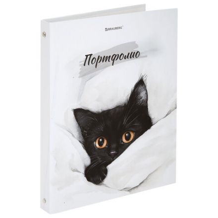 Папка-портфолио универсальная, 4 кольца, 20 файлов, 7БЦ матовая, BRAUBERG "Cat", 107557, 117557 Папка-портфолио универсальная, 4 кольца, 20 файлов, 7БЦ матовая, BRAUBERG "Cat", 107557, 117557