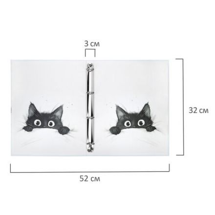 Папка-портфолио универсальная, 4 кольца, 20 файлов, 7БЦ матовая, BRAUBERG "Cat", 107557, 117557 Папка-портфолио универсальная, 4 кольца, 20 файлов, 7БЦ матовая, BRAUBERG "Cat", 107557, 117557