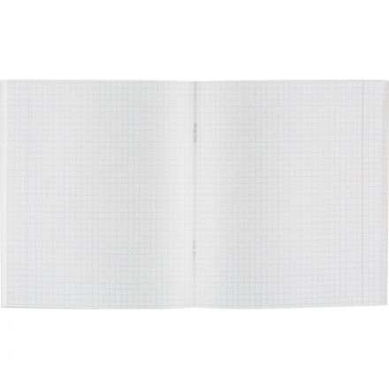 Тетрадь общая А5,48л,кл,скоб,офсет-2 Attache Ice зелен/синий