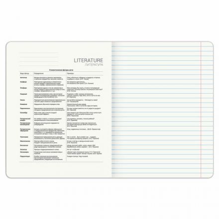 Тетрадь предметная DOG БОБИК 48 л., TWIN-лак, ЛИТЕРАТУРА, линия, подсказ, BRAUBERG, 404790 Тетрадь предметная DOG БОБИК 48 л., TWIN-лак, ЛИТЕРАТУРА, линия, подсказ, BRAUBERG, 404790