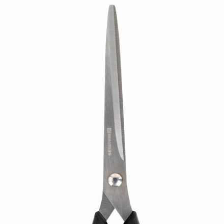 Ножницы BRAUBERG "Office-Expert" 170 мм, сине-черные, резиновые вставки, 3-х сторонняя заточка, 231561