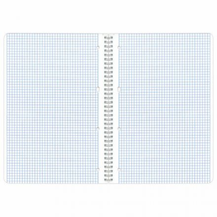 Тетрадь А4, 80 л., BRAUBERG, гребень, клетка, обложка картон, "Фрукты", 404051