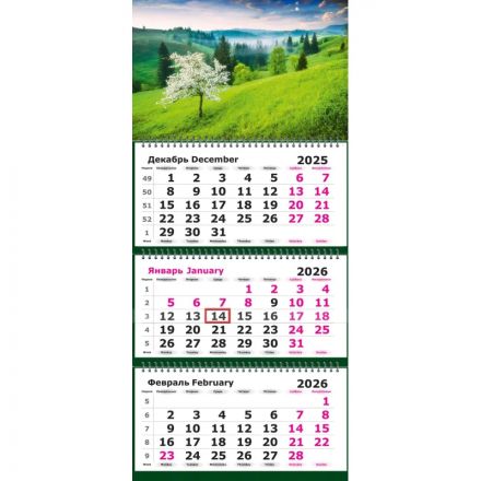 Календарь настенный 3-х блочный 2026 Attache, 190х465 мини, природа, 80г