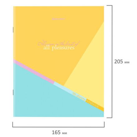 Тетрадь А5 96 л. BRAUBERG скоба, клетка, обложка картон, "Multicolor" (микс в спайке), 404436