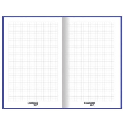 Блокнот А5 (134х206 мм), 80 л., твёрдый, клетка, BRAUBERG KIDS, "Радужные котики", 114417