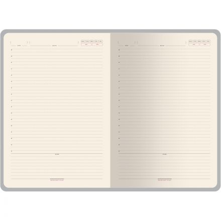 Ежедневник недатированный коричневый В5, LEGGENDA 3-514/05