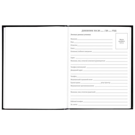 Дневник 5-11 класс 48 л., гибкая обложка, BRAUBERG, глянцевая ламинация, с подсказом, "Гепард", 106862