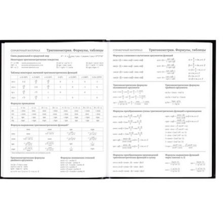 Дневник 5-11 класс 48 л., гибкая обложка, BRAUBERG, глянцевая ламинация, с подсказом, "Гепард", 106862