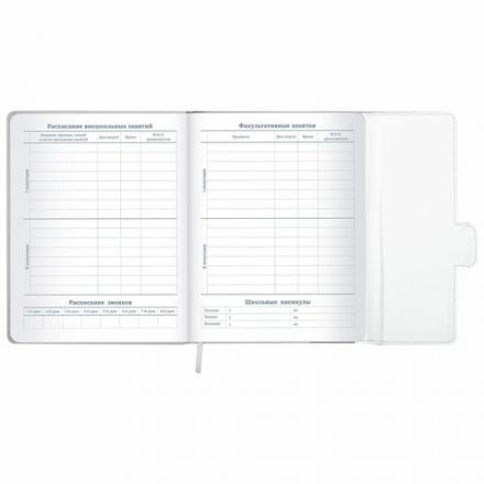 Дневник 1-11 класс 48 л., кожзам (твердая), магнитный клапан, ЮНЛАНДИЯ, "Goal", 106929