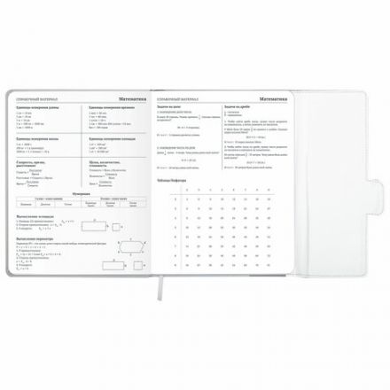 Дневник 1-11 класс 48 л., кожзам (твердая), магнитный клапан, ЮНЛАНДИЯ, "Goal", 106929