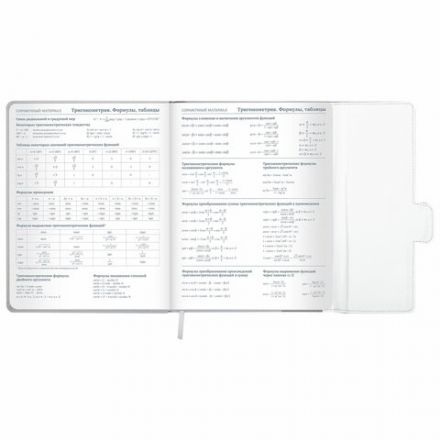 Дневник 1-11 класс 48 л., кожзам (твердая), магнитный клапан, ЮНЛАНДИЯ, "Goal", 106929