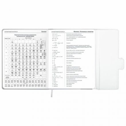 Дневник 1-11 класс 48 л., кожзам (твердая), магнитный клапан, ЮНЛАНДИЯ, "Goal", 106929