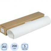 Ватман (бумага чертежная) Гознак Спб, 5 л/кор, 1200x840, 200 гр