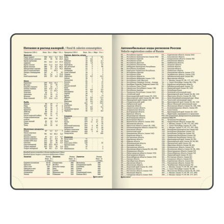 Ежедневник недатированный МАЛЫЙ 100х150 мм А6 BRAUBERG "Metropolis Mix", под кожу, 136 л., мятный, 113308