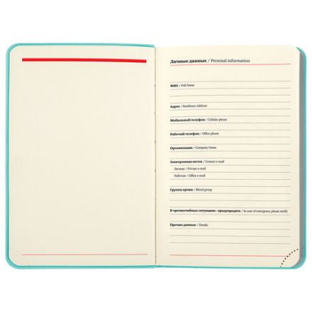 Ежедневник недатированный МАЛЫЙ 100х150 мм А6 BRAUBERG "Metropolis Mix", под кожу, 136 л., мятный, 113308