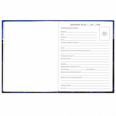 Дневник 5-11 класс 48 л., твердый, BRAUBERG, глянцевая ламинация, с подсказом, "DELIGHT", 106864