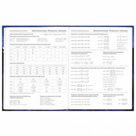 Дневник 5-11 класс 48 л., твердый, BRAUBERG, глянцевая ламинация, с подсказом, "DELIGHT", 106864