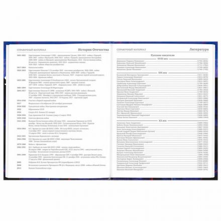 Дневник 5-11 класс 48 л., твердый, BRAUBERG, глянцевая ламинация, с подсказом, "DELIGHT", 106864