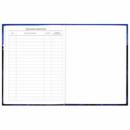 Дневник 5-11 класс 48 л., твердый, BRAUBERG, глянцевая ламинация, с подсказом, "DELIGHT", 106864