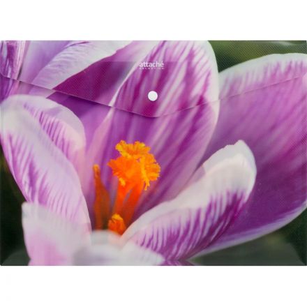 Папка-конверт на кнопке Attache Selection Crocus А4 0.18 мм (6 штук в упаковке)