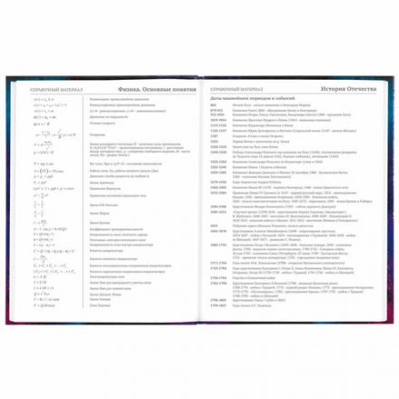 Дневник 5-11 класс 48 л., твердый, BRAUBERG, глянцевая ламинация, с подсказом, "Space cat", 106865