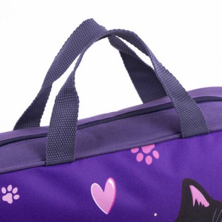 Папка на молнии с ручками BRAUBERG KIDS А4, 1 отделение, полиэстер, 80 мм, "Sweet cheeks", 272120 Папка на молнии с ручками BRAUBERG KIDS А4, 1 отделение, полиэстер, 80 мм, "Sweet cheeks", 272120