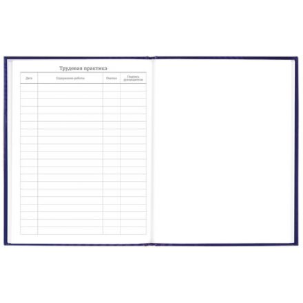 Дневник 5-11 класс 48 л., твердый, BRAUBERG, глянцевая ламинация, с подсказом, "Music", 106623