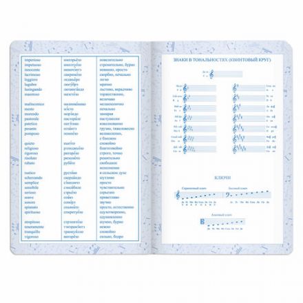 Дневник для музыкальной школы 140х210 мм, 48 л., обложка кожзам твердая, фольга, BRAUBERG, справочный материал, черный, 105502