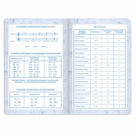 Дневник для музыкальной школы 140х210 мм, 48 л., обложка кожзам твердая, фольга, BRAUBERG, справочный материал, черный, 105502