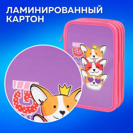 Пенал ПИФАГОР, 3 отделения, ламинированный картон, 19х11 см, "Corgi queen", 272250