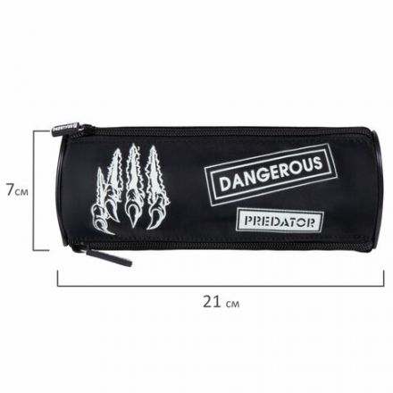 Пенал BRAUBERG, 3 отделения, нейлон, 21х7х7 см, "Claws", 272307