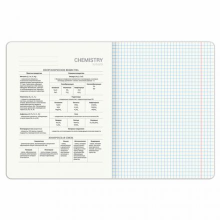 Тетрадь предметная DOG БОБИК 48 л., TWIN-лак, ХИМИЯ, клетка, подсказ, BRAUBERG, 404793 Тетрадь предметная DOG БОБИК 48 л., TWIN-лак, ХИМИЯ, клетка, подсказ, BRAUBERG, 404793