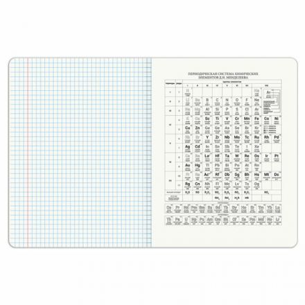Тетрадь предметная DOG БОБИК 48 л., TWIN-лак, ХИМИЯ, клетка, подсказ, BRAUBERG, 404793 Тетрадь предметная DOG БОБИК 48 л., TWIN-лак, ХИМИЯ, клетка, подсказ, BRAUBERG, 404793