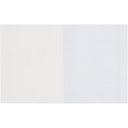 Тетрадь общая А5 48л Фея,клет,скреп, ВД-лак