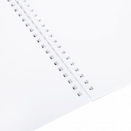 Альбом для акварели А4 24 л., бумага 180 г/м2, гребень, обложка картон, BRAUBERG KIDS, "Pets" (2 вида), 106712